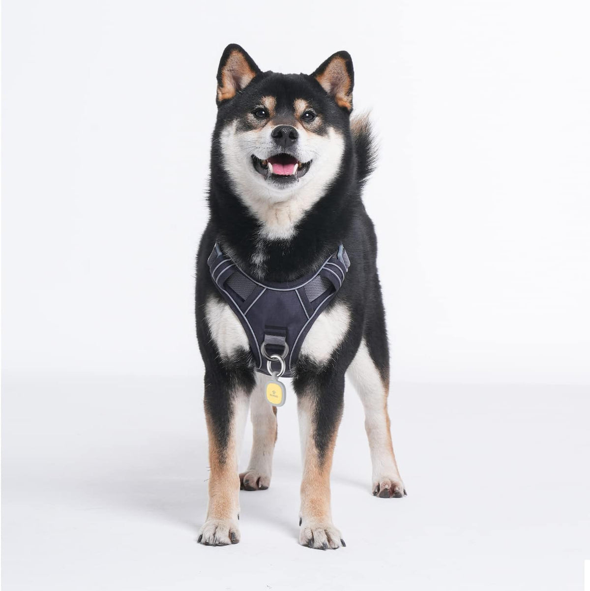 No Pull Dog Harness with Pet ID Tag, Reflective Vest