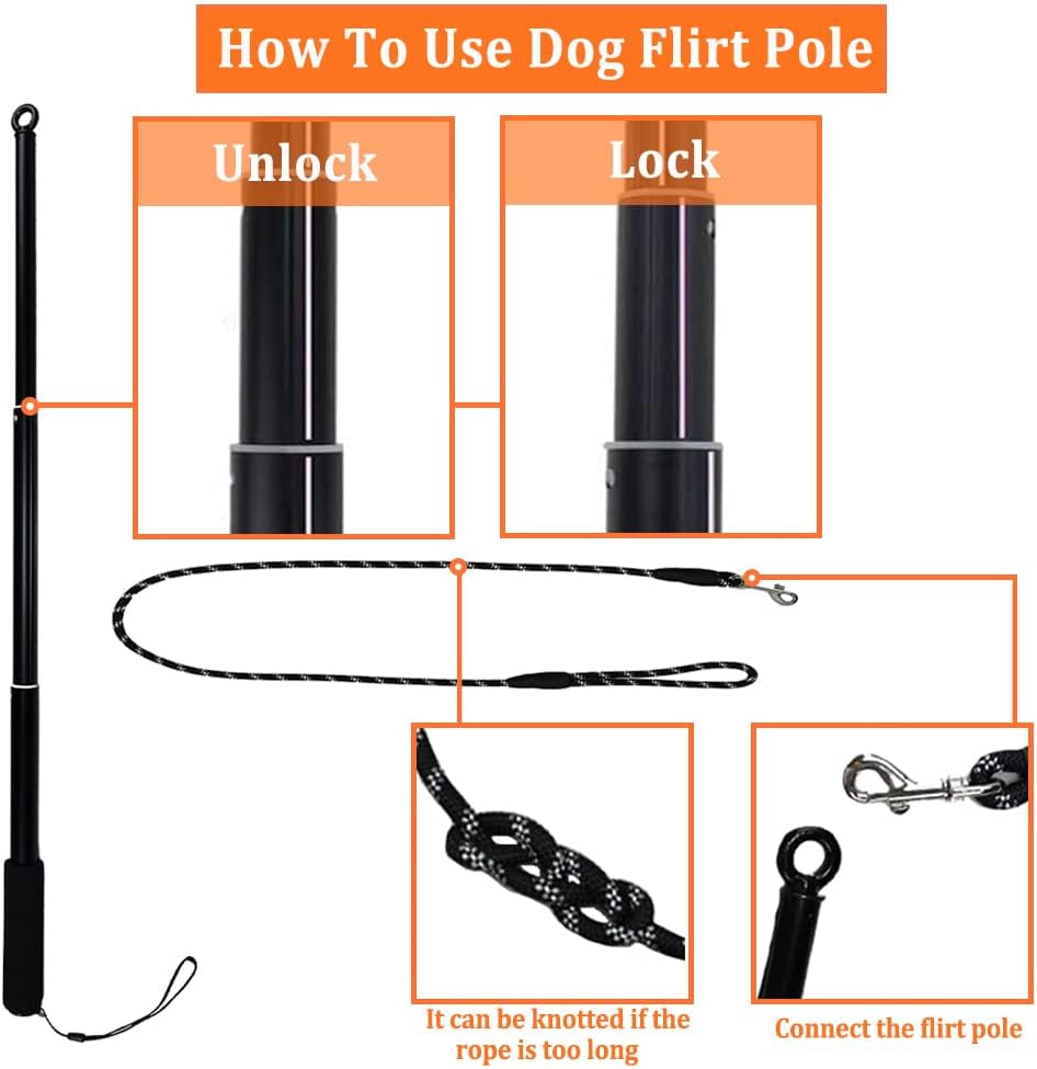 Flirt Pole with Tug Toy for Small Medium Large Dogs Outdoor Training