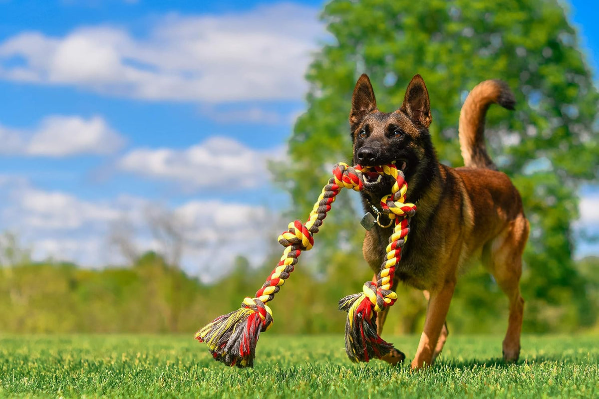 Mammoth Flossy Chews Multi Color 5 Knot Rope Tug – Premium Cotton-Poly Tug Toy for Dogs – Interactive Dog Rope Toy – Tug Dog Chew Toy for Big Dogs - X-Large, 36”