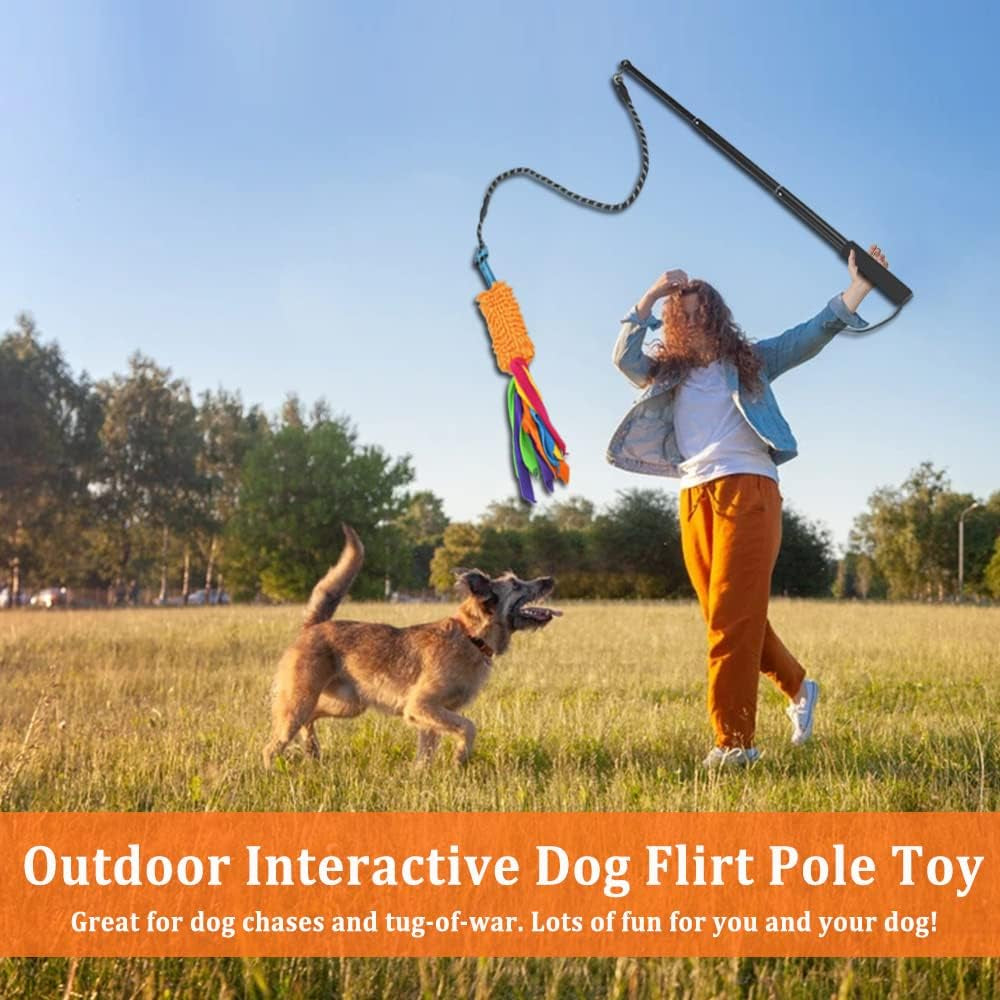 Flirt Pole with Tug Toy for Small Medium Large Dogs Outdoor Training