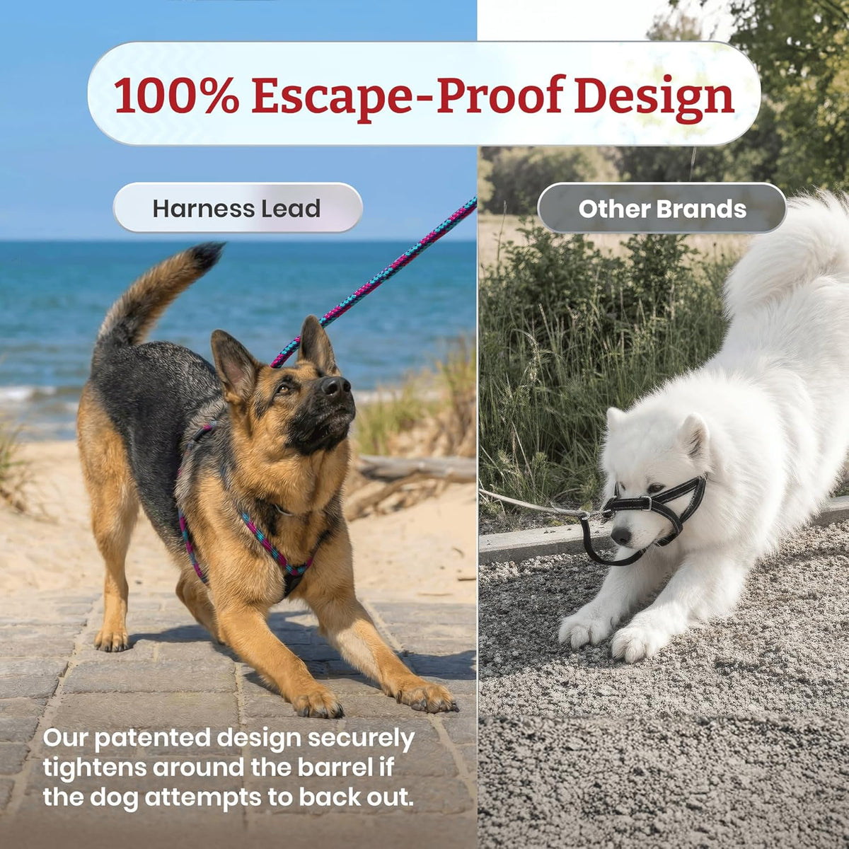 No Pull Dog Harness and Leash Set, anti Pull Dog Harness, One-Piece Cushioned Rope Safely Prevents Escaping and Pulling (Medium/Large, Peacock/Blue/Lime)