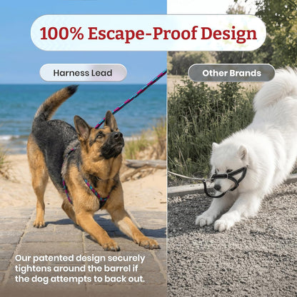 No Pull Dog Harness and Leash Set, anti Pull Dog Harness, One-Piece Cushioned Rope Safely Prevents Escaping and Pulling (Medium/Large, Peacock/Blue/Lime)