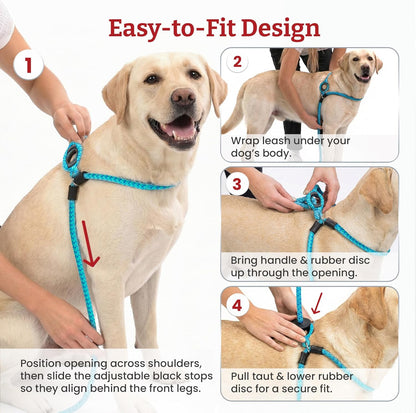 No Pull Dog Harness and Leash Set, anti Pull Dog Harness, One-Piece Cushioned Rope Safely Prevents Escaping and Pulling (Medium/Large, Peacock/Blue/Lime)