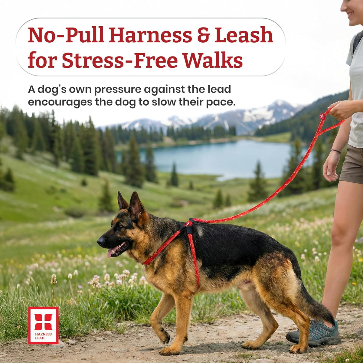No Pull Dog Harness and Leash Set, anti Pull Dog Harness, One-Piece Cushioned Rope Safely Prevents Escaping and Pulling (Medium/Large, Peacock/Blue/Lime)