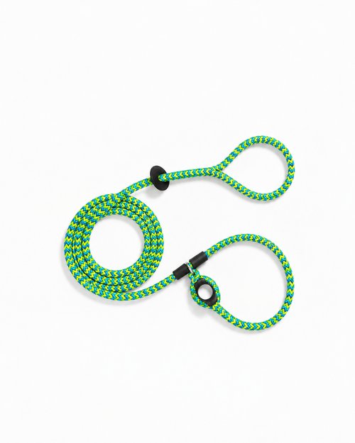 No-Pull Escape-Resistant Dog Harness & Leash