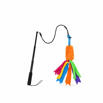 Interactive Dog Flirt Pole – Extendable Chase & Tug Toy