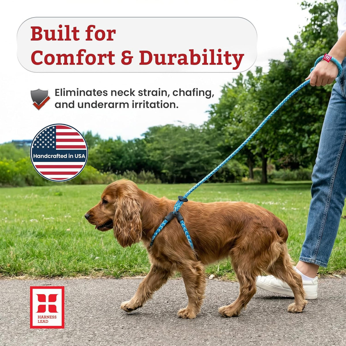 No Pull Dog Harness and Leash Set, anti Pull Dog Harness, One-Piece Cushioned Rope Safely Prevents Escaping and Pulling (Medium/Large, Peacock/Blue/Lime)