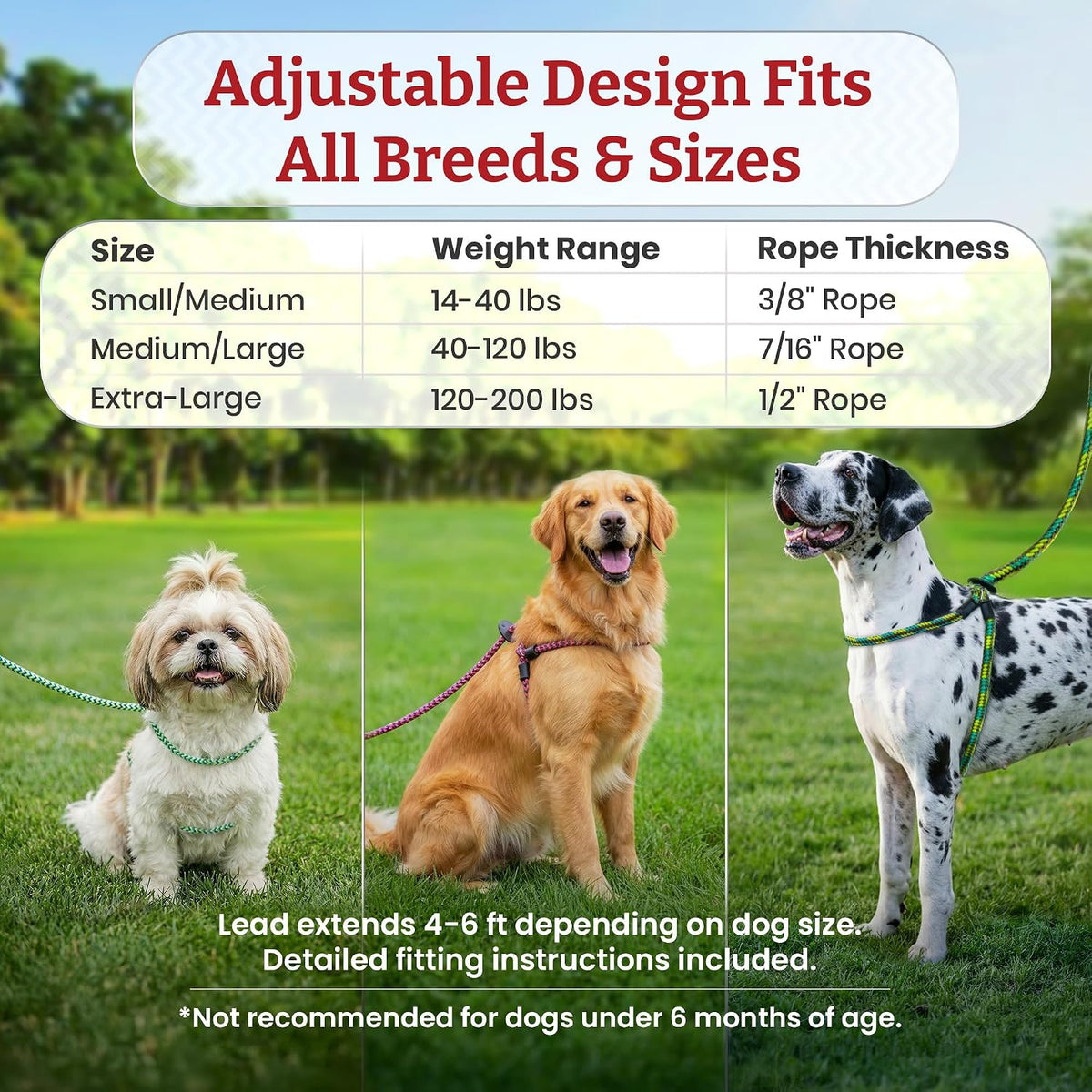 No Pull Dog Harness and Leash Set, anti Pull Dog Harness, One-Piece Cushioned Rope Safely Prevents Escaping and Pulling (Medium/Large, Peacock/Blue/Lime)