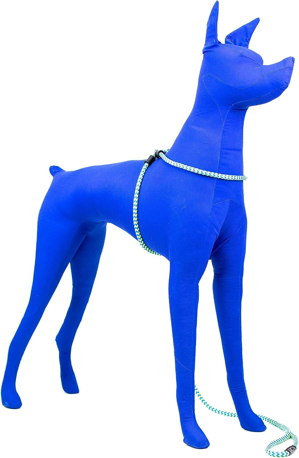 No Pull Dog Harness and Leash Set, anti Pull Dog Harness, One-Piece Cushioned Rope Safely Prevents Escaping and Pulling (Medium/Large, Peacock/Blue/Lime)